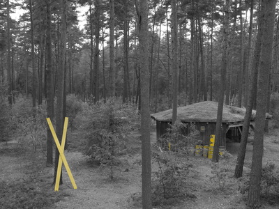Schwarz-weiß-Fotos mit gelben X im Wald.