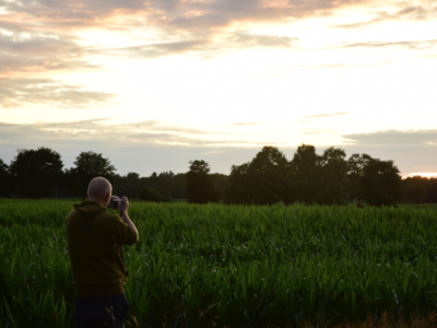 Eine Person steht auf einer Wiese und fotografiert den Sonnenuntergang.