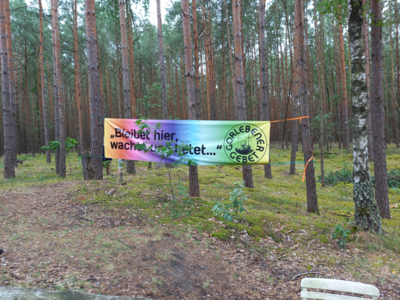 Im Wald.
