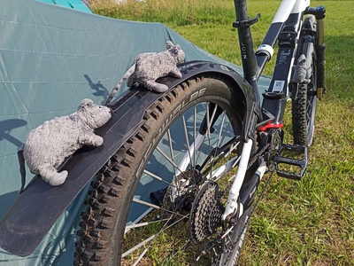 Fahrrad mit (Stoff-)Mäusen auf dem hinteren Schutzblech.