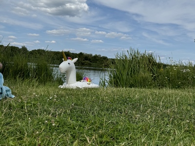 Aufblasbares Einhorn auf dem Rasen am Ufer eines Sees.